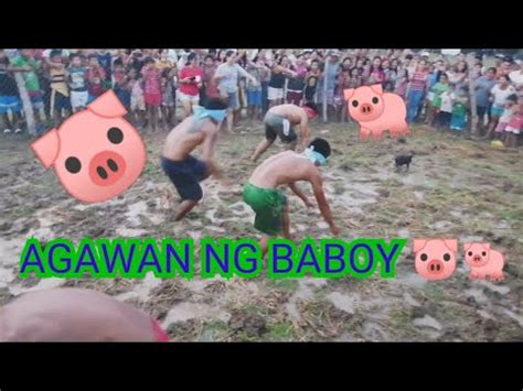 agawan ng baboy|Group Chat .